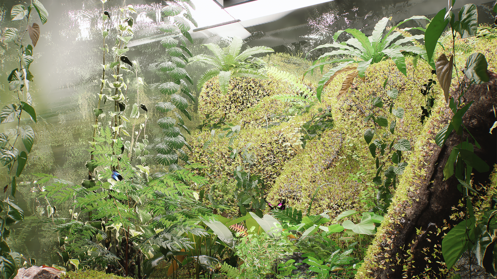 Final Lush terrarium render, dense ferns and foliage behind glass