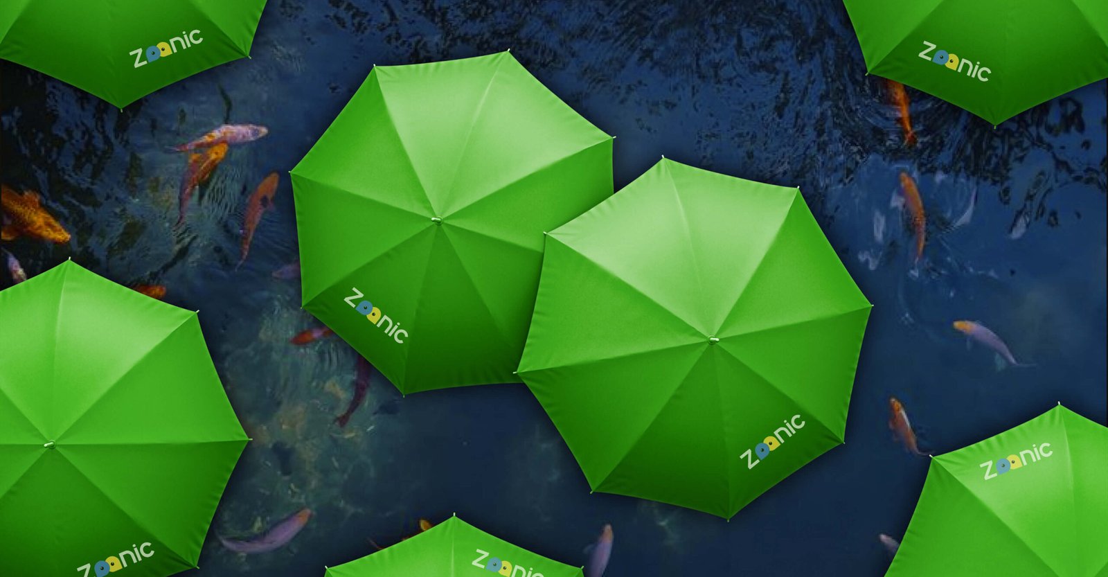 Zoonic branded green umbrellas seen from above