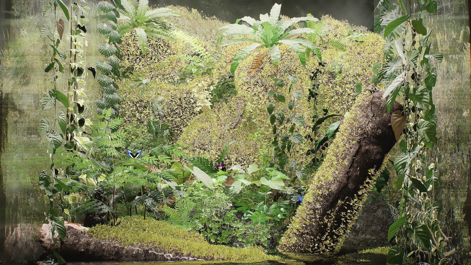 Lush — Terrarium brand identity and motion visuals